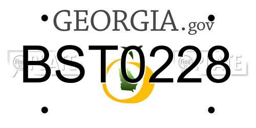 BST0228 Georgia License Plate