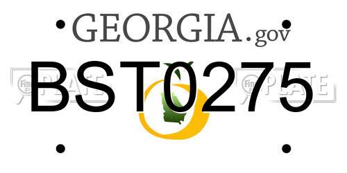 BST0275 Georgia License Plate