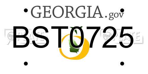 BST0725 Georgia License Plate