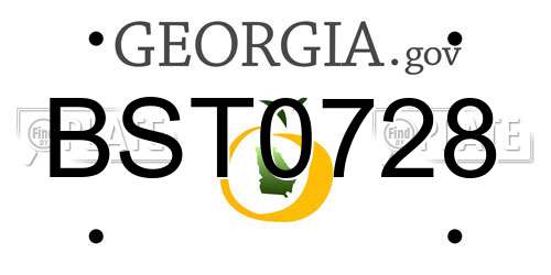 BST0728 Georgia License Plate