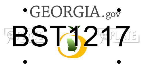 BST1217 Georgia License Plate