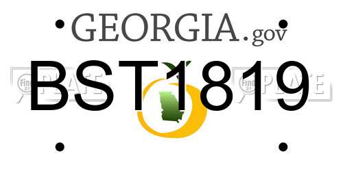 BST1819 Georgia License Plate