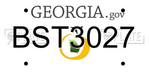 BST3027 Georgia License Plate