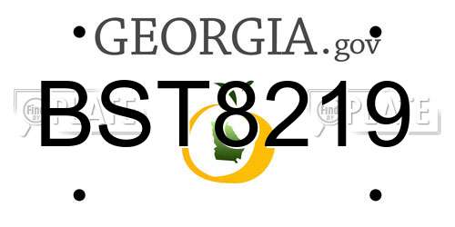 BST8219 Georgia License Plate