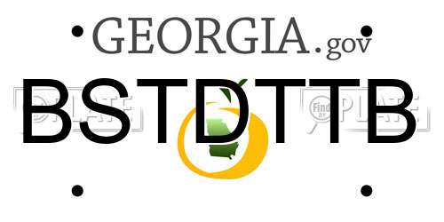 BSTDTTB Georgia License Plate