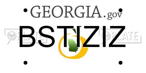 BSTIZIZ Georgia License Plate