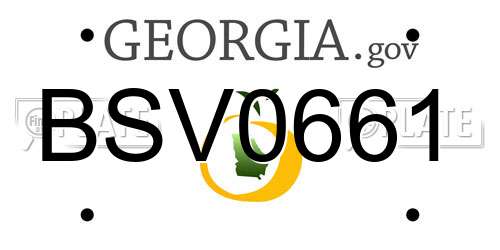 BSV0661 Georgia License Plate