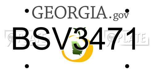 BSV3471 Georgia License Plate