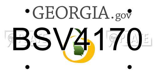 BSV4170 Georgia License Plate