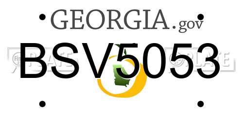 BSV5053 Georgia License Plate