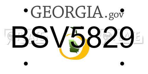 BSV5829 Georgia License Plate