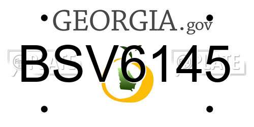 BSV6145 Georgia License Plate