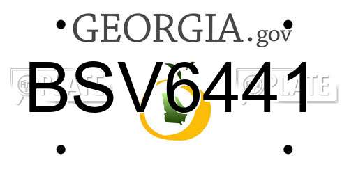 BSV6441 Georgia License Plate
