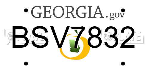 BSV7832 Georgia License Plate