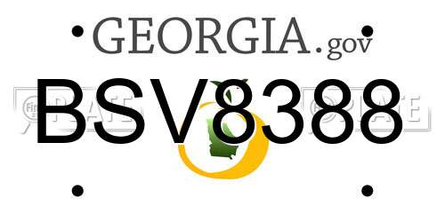 BSV8388 Georgia License Plate