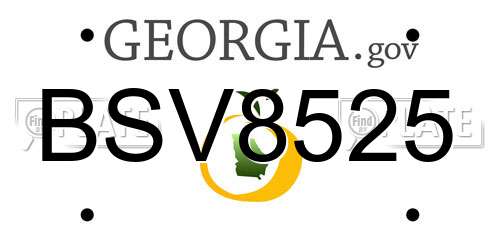 BSV8525 Georgia License Plate