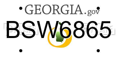BSW6865 Georgia License Plate
