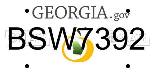 BSW7392 Georgia License Plate
