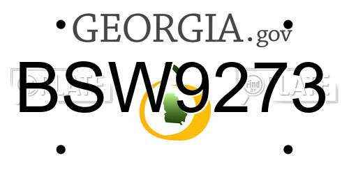 BSW9273 Georgia License Plate