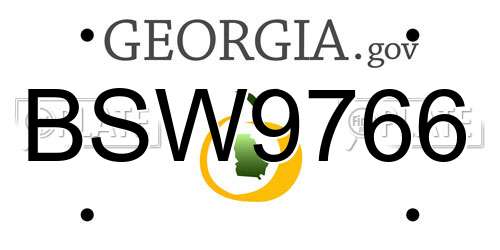 BSW9766 Georgia License Plate