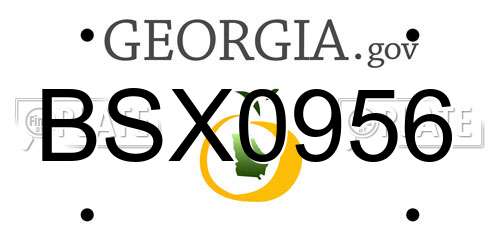 BSX0956 Georgia License Plate