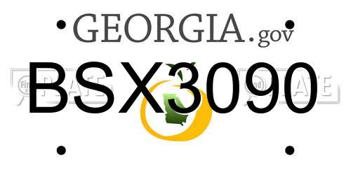 BSX3090 Georgia License Plate