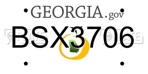 BSX3706 Georgia License Plate