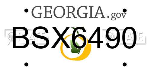 BSX6490 Georgia License Plate