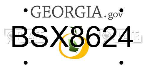BSX8624 Georgia License Plate