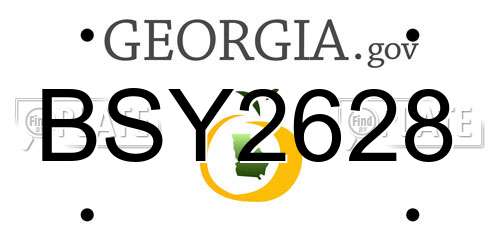 BSY2628 Georgia License Plate