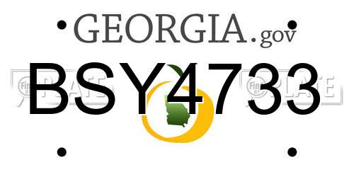 BSY4733 Georgia License Plate