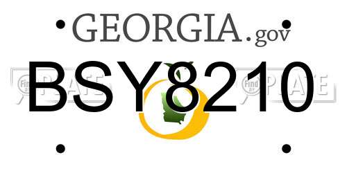BSY8210 Georgia License Plate