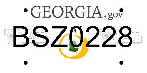 BSZ0228 Georgia License Plate