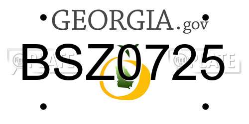BSZ0725 Georgia License Plate