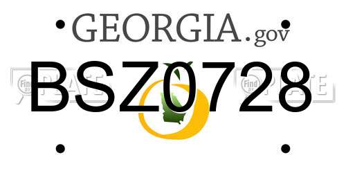 BSZ0728 Georgia License Plate