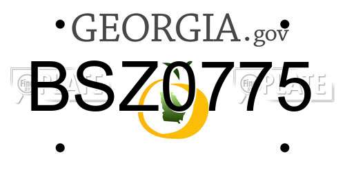 BSZ0775 Georgia License Plate