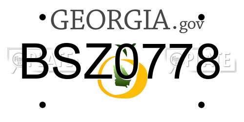 BSZ0778 Georgia License Plate