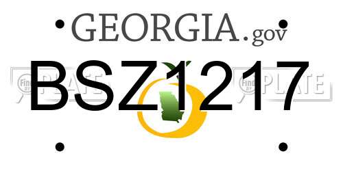 BSZ1217 Georgia License Plate