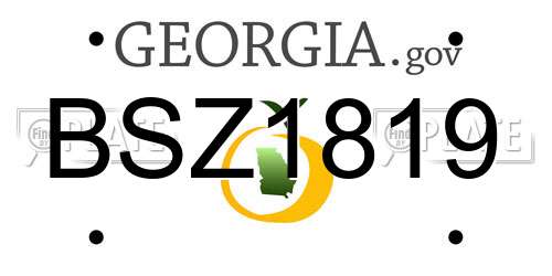BSZ1819 Georgia License Plate
