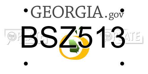 BSZ513 Georgia License Plate