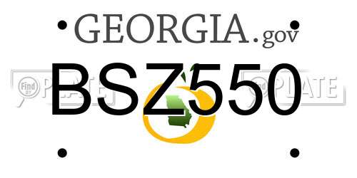 BSZ550 Georgia License Plate