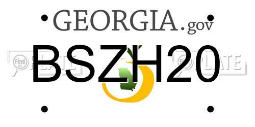 BSZH20 Georgia License Plate