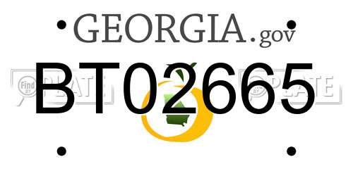 BT02665 Georgia License Plate
