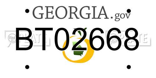 BT02668 Georgia License Plate
