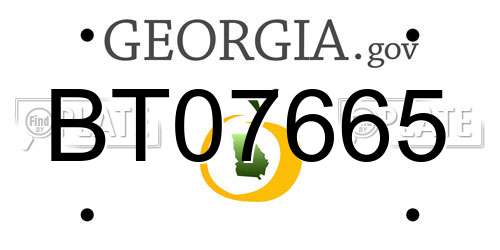 BT07665 Georgia License Plate