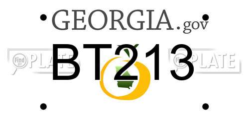 BT213 Georgia License Plate