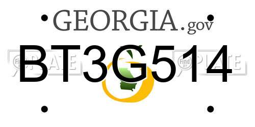 BT3G514 Georgia License Plate