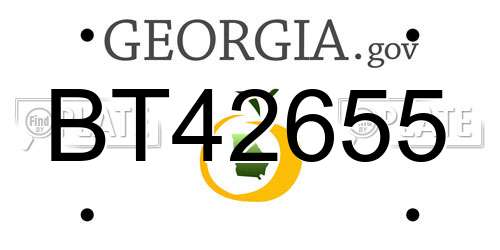 BT42655 Georgia License Plate