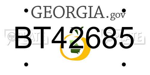 BT42685 Georgia License Plate
