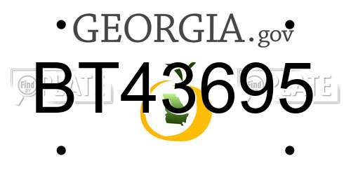 BT43695 Georgia License Plate